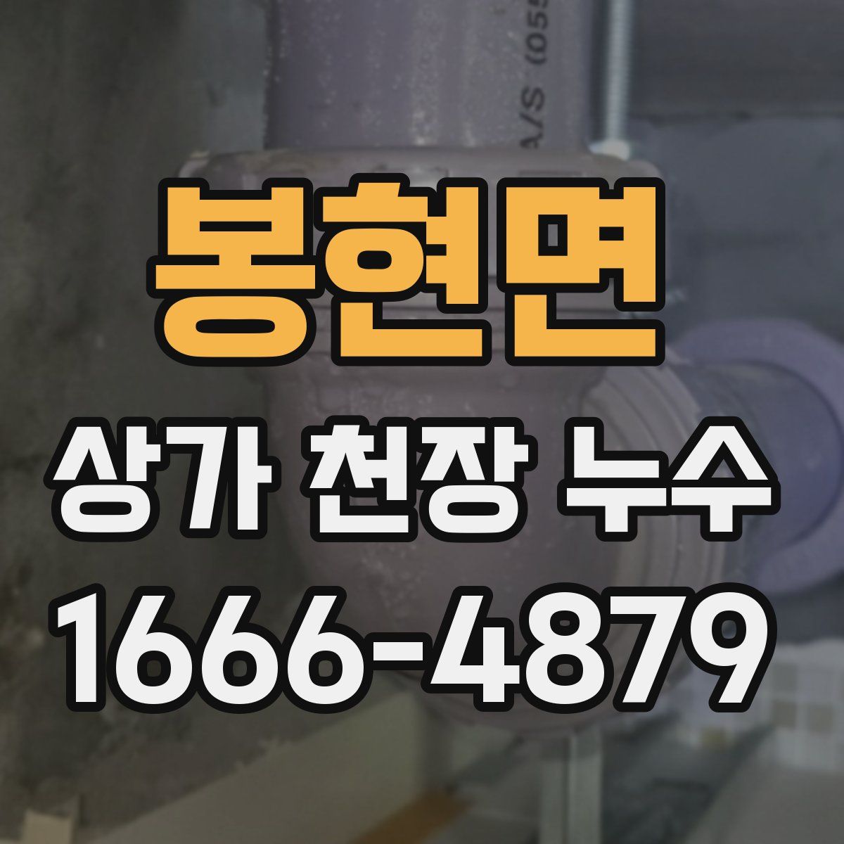봉현면 상가 천장 누수