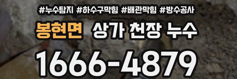 봉현면 상가 천장 누수