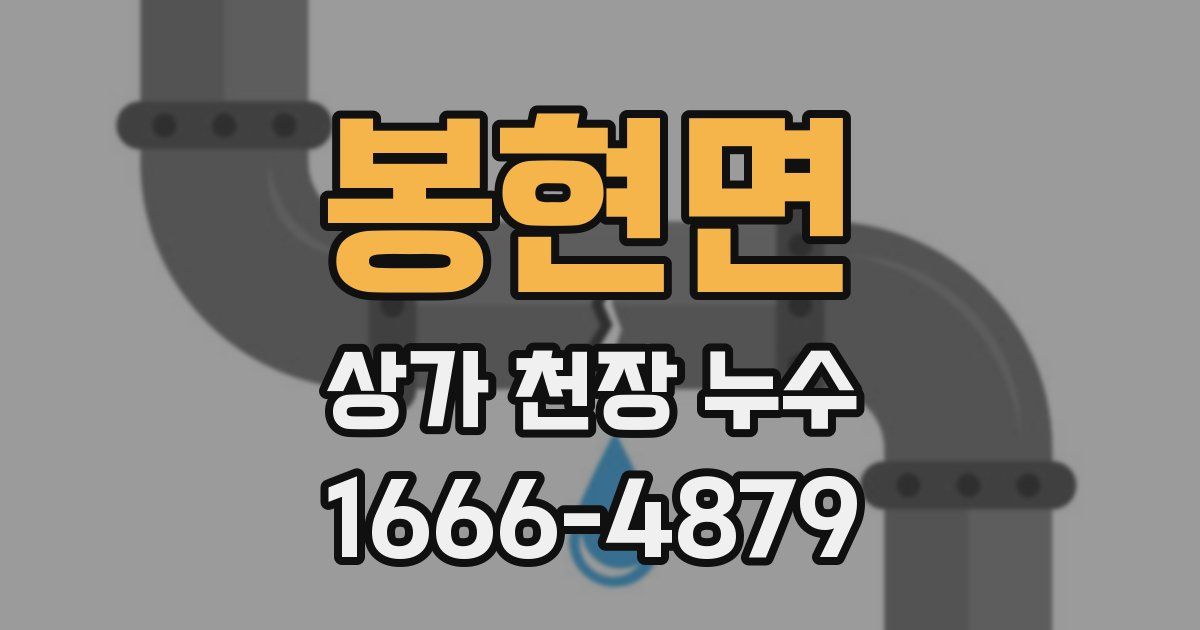 봉현면 상가 천장 누수
