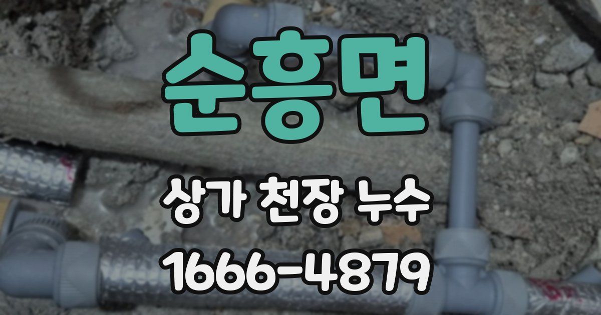 순흥면 상가 천장 누수