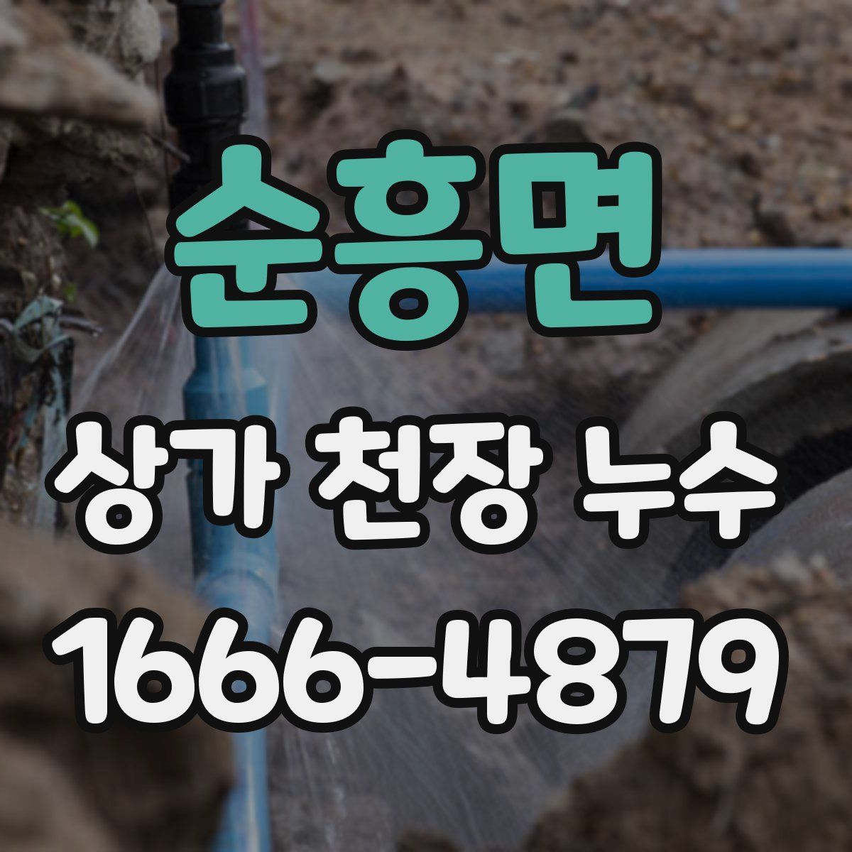 순흥면 상가 천장 누수