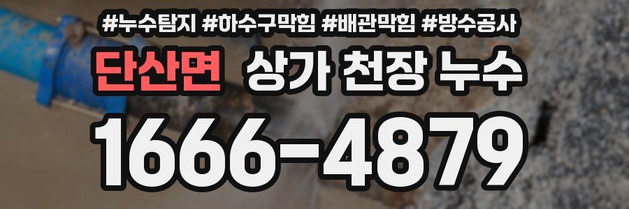 단산면 상가 천장 누수