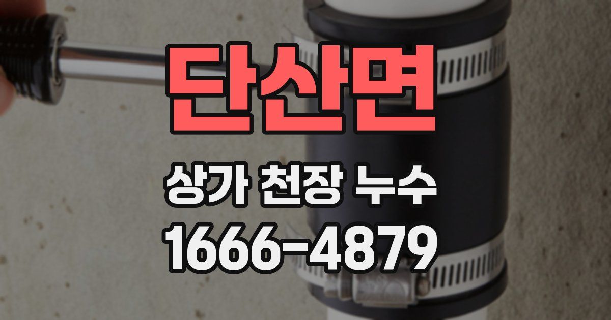 단산면 상가 천장 누수