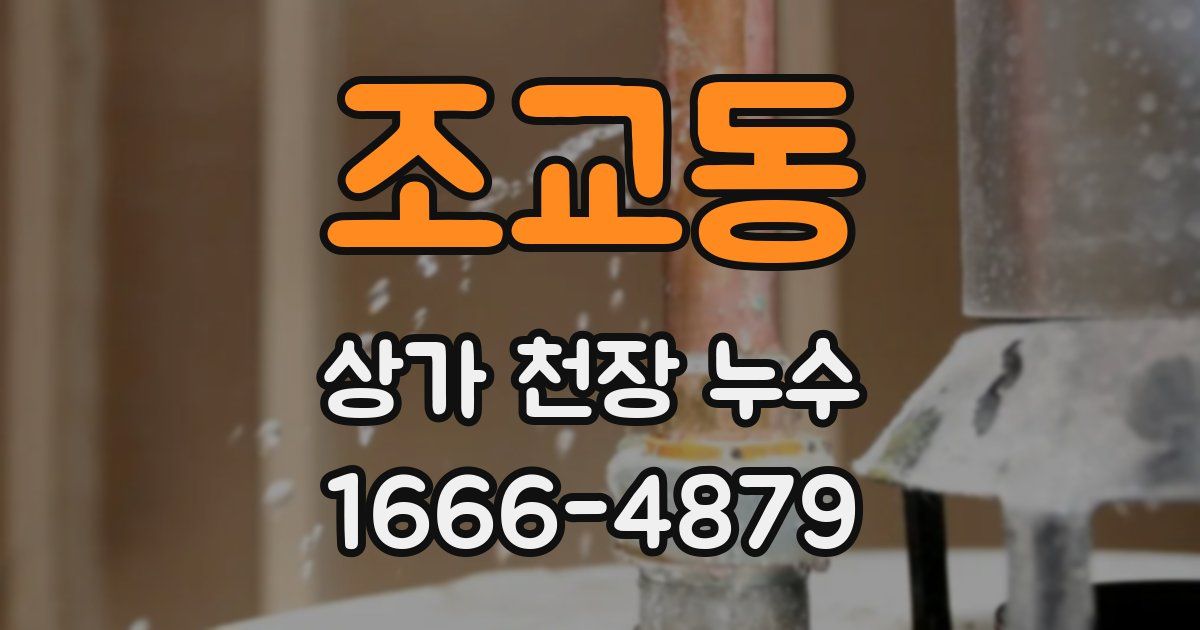 조교동 상가 천장 누수