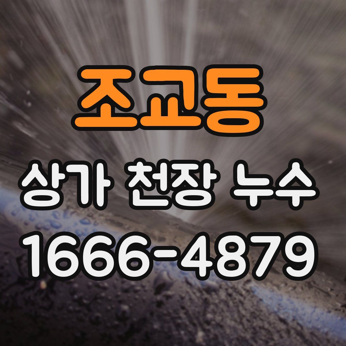 조교동 상가 천장 누수