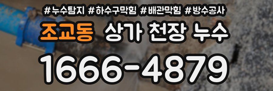 조교동 상가 천장 누수