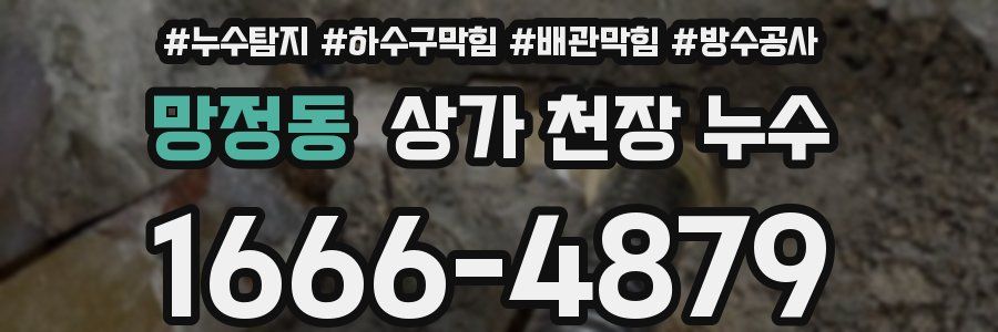 망정동 상가 천장 누수