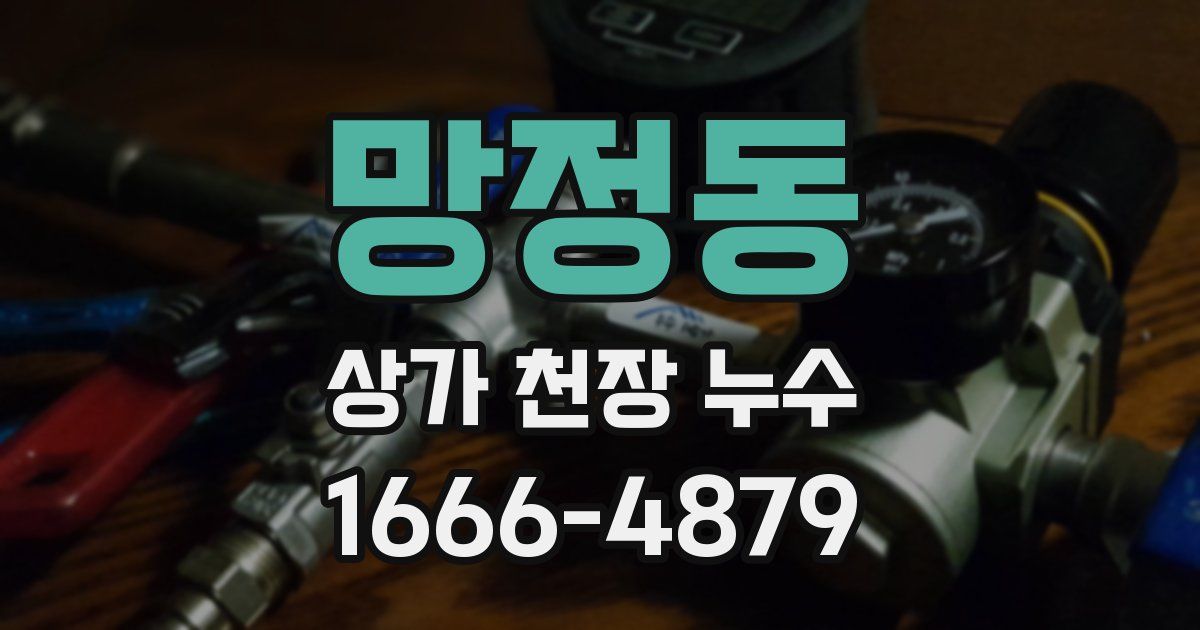 망정동 상가 천장 누수