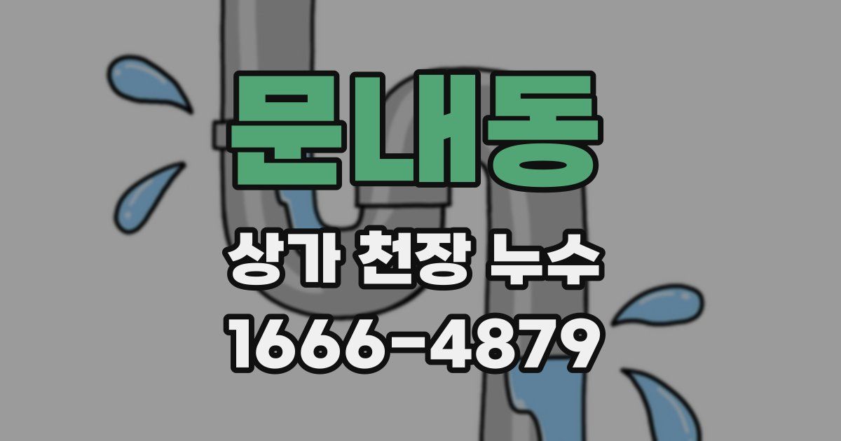 문내동 상가 천장 누수