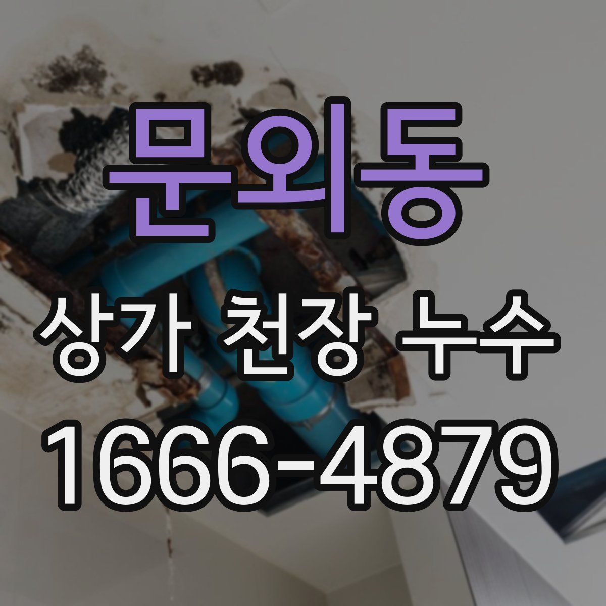 문외동 상가 천장 누수