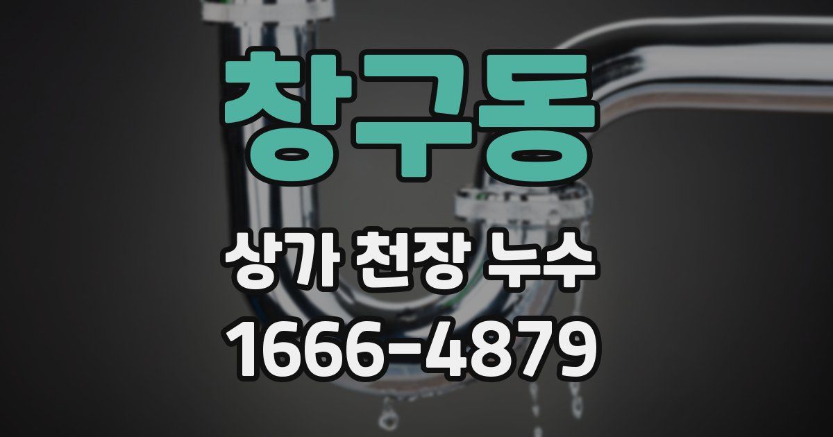 창구동 상가 천장 누수