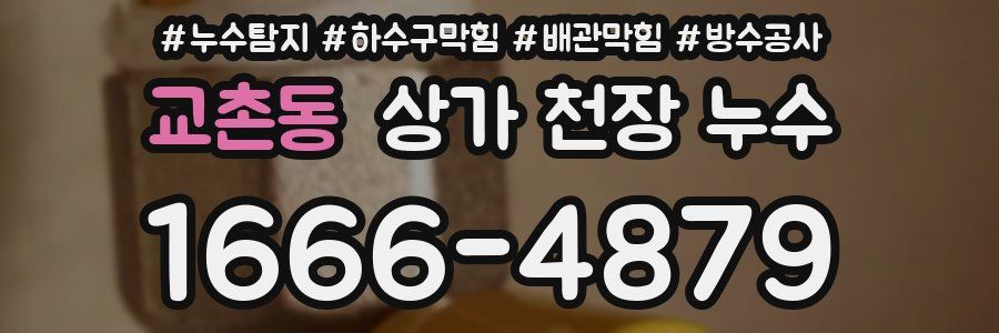 교촌동 상가 천장 누수