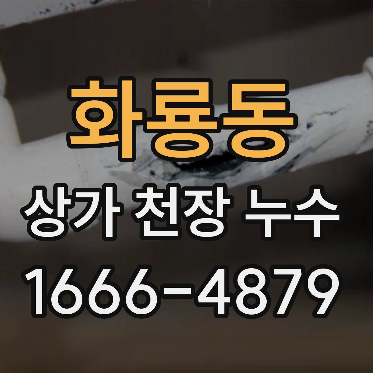 화룡동 상가 천장 누수
