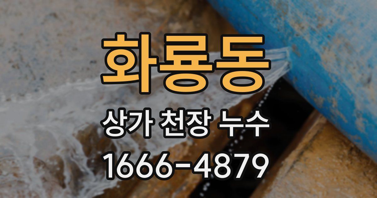 화룡동 상가 천장 누수