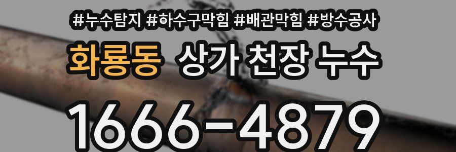 화룡동 상가 천장 누수