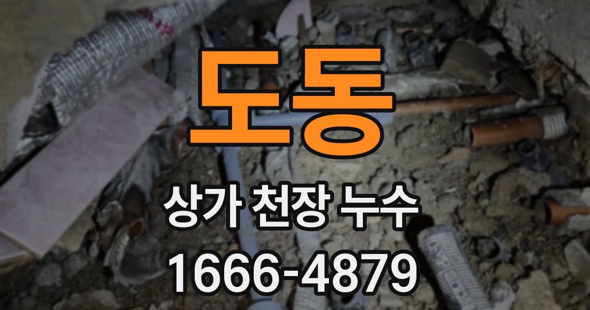 도동 상가 천장 누수
