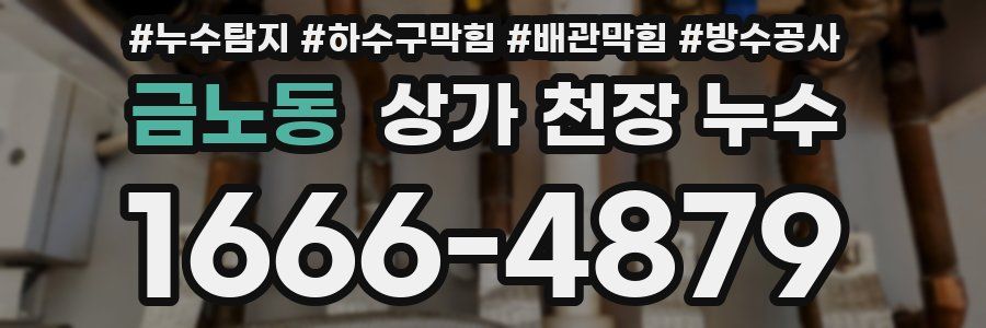 금노동 상가 천장 누수