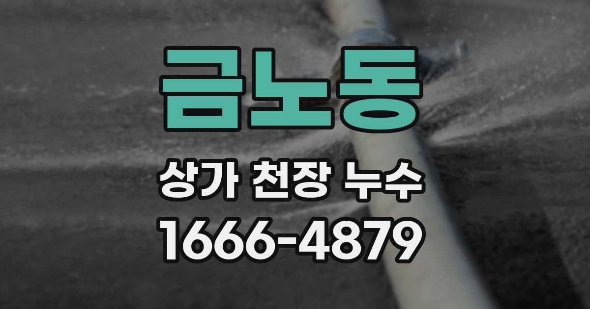 금노동 상가 천장 누수