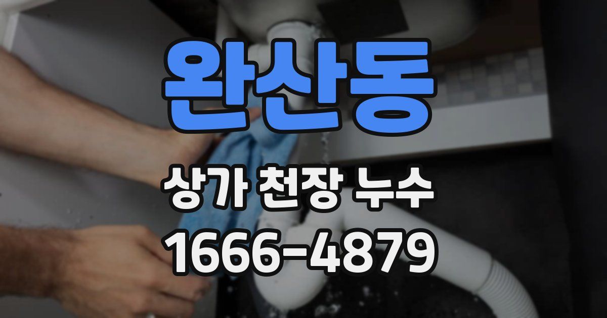 완산동 상가 천장 누수