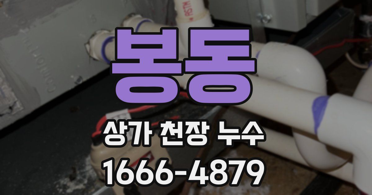 봉동 상가 천장 누수
