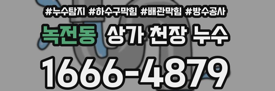녹전동 상가 천장 누수