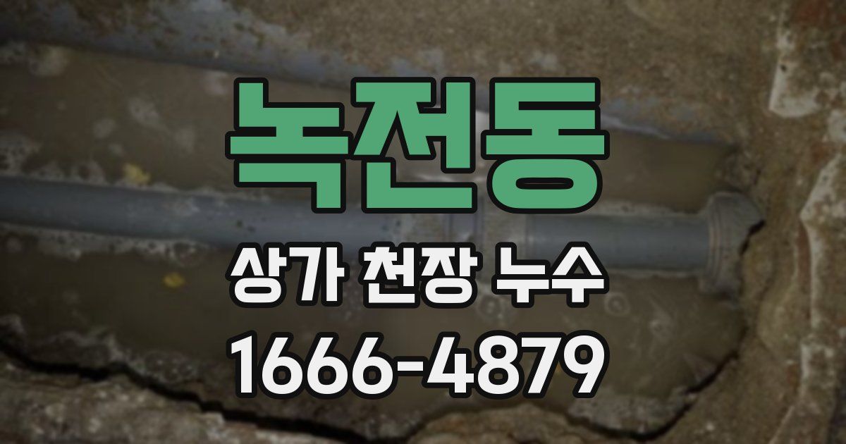 녹전동 상가 천장 누수