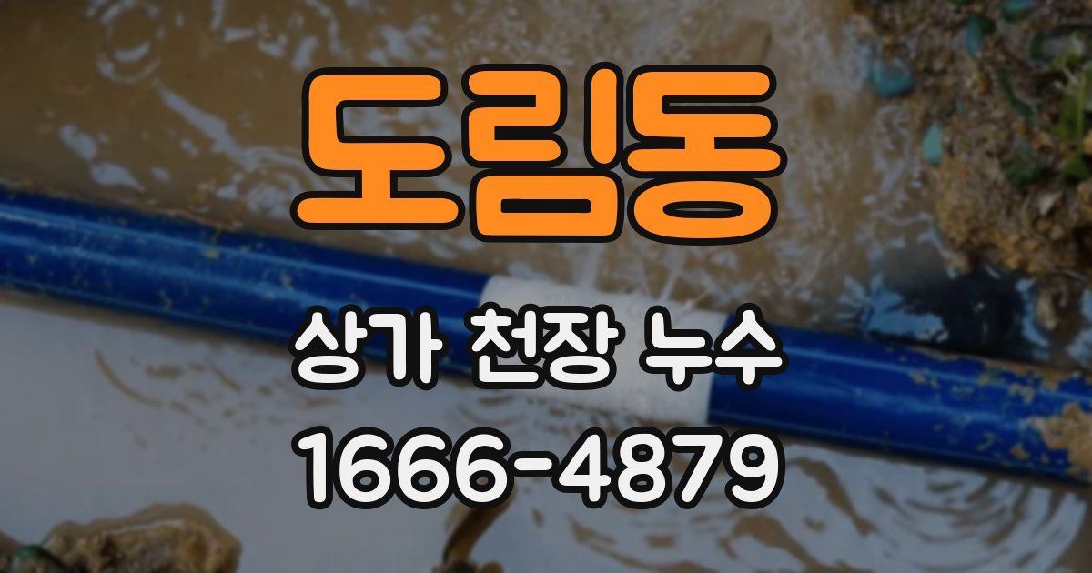 도림동 상가 천장 누수
