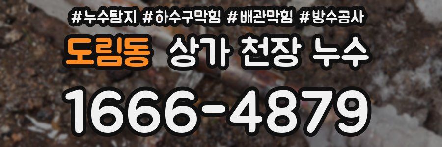도림동 상가 천장 누수