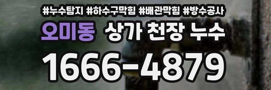 오미동 상가 천장 누수