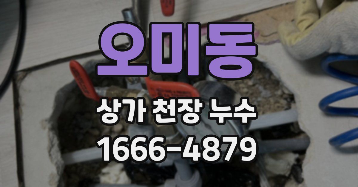 오미동 상가 천장 누수