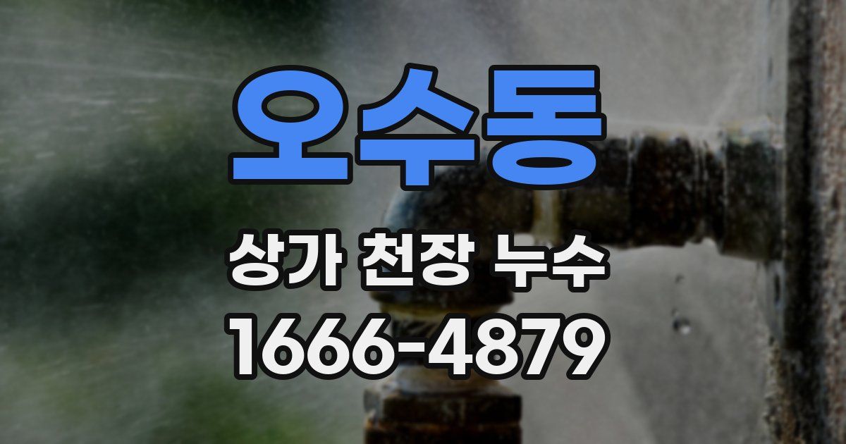 오수동 상가 천장 누수