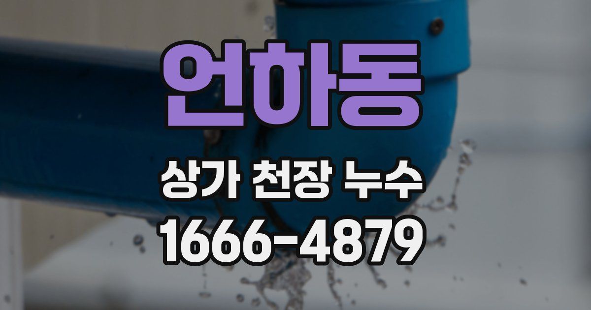 언하동 상가 천장 누수