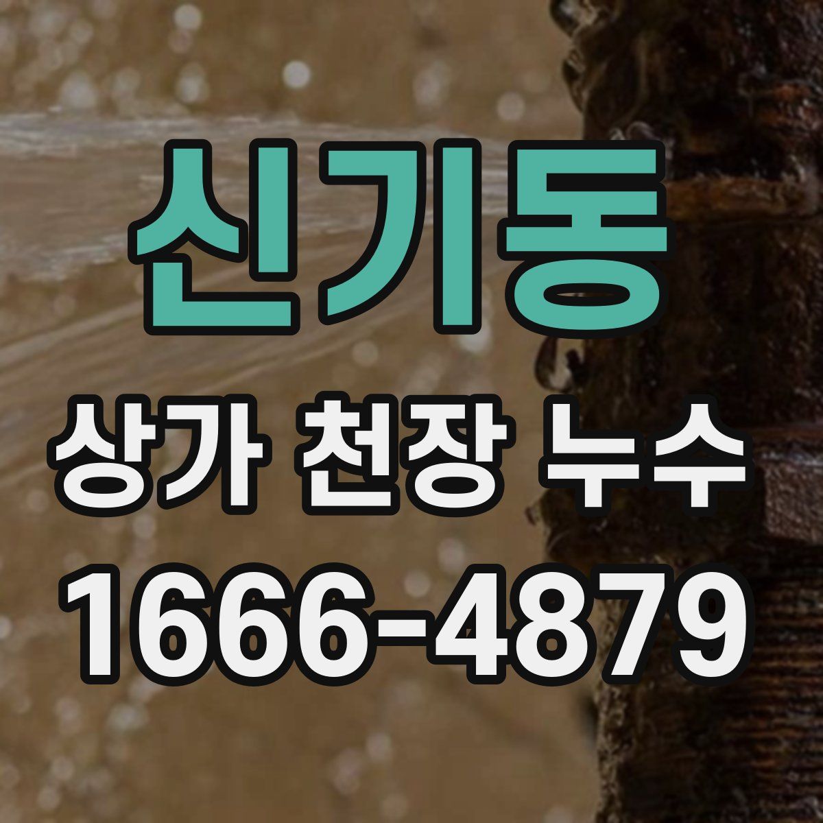신기동 상가 천장 누수