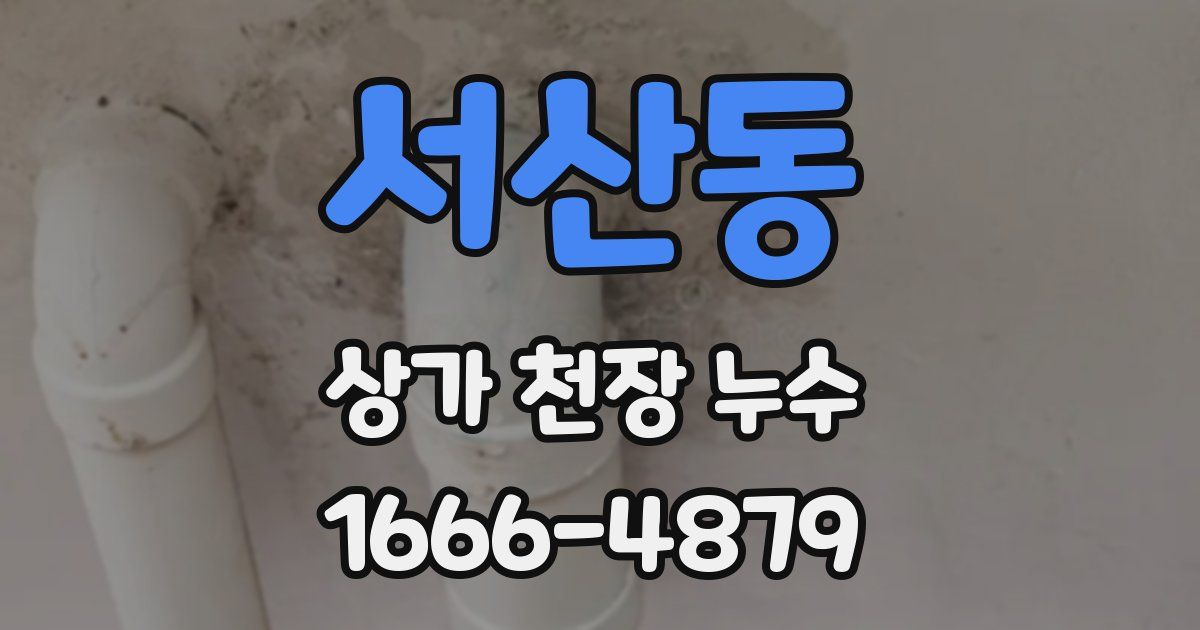 서산동 상가 천장 누수