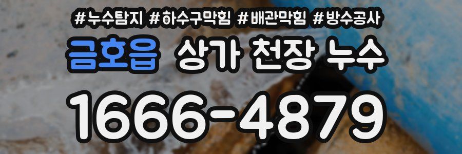 금호읍 상가 천장 누수