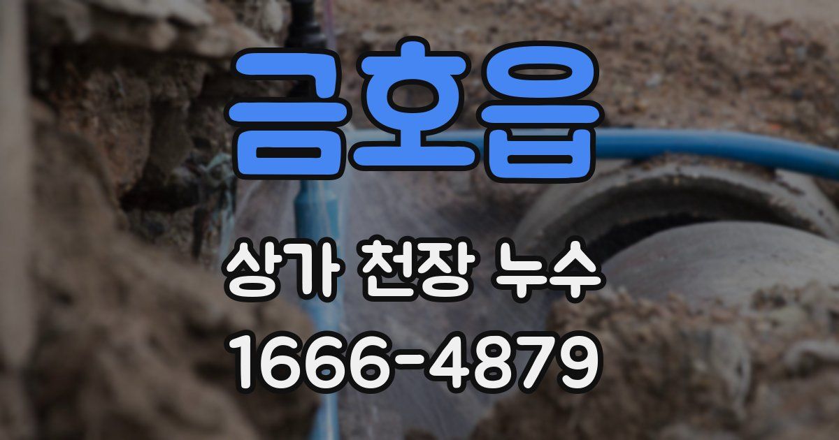 금호읍 상가 천장 누수
