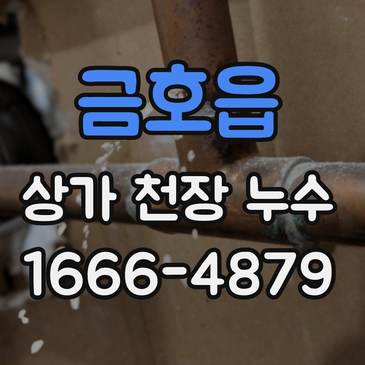 금호읍 상가 천장 누수