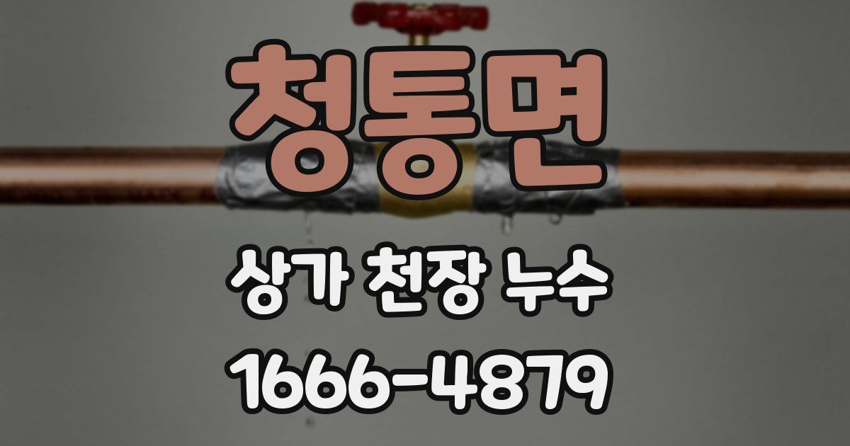 청통면 상가 천장 누수