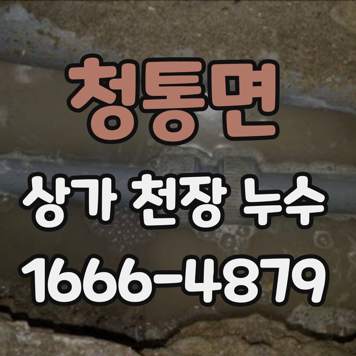 청통면 상가 천장 누수