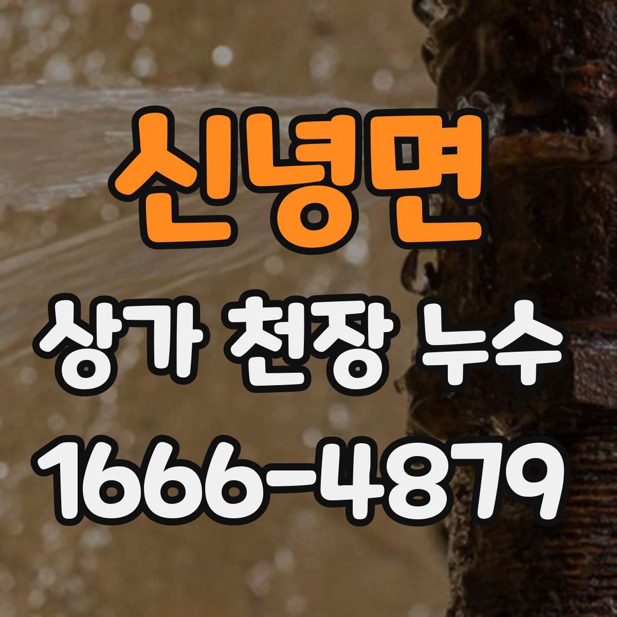 신녕면 상가 천장 누수