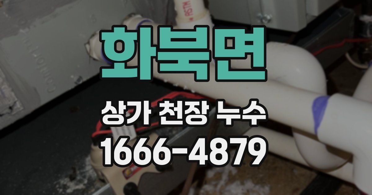 화북면 상가 천장 누수