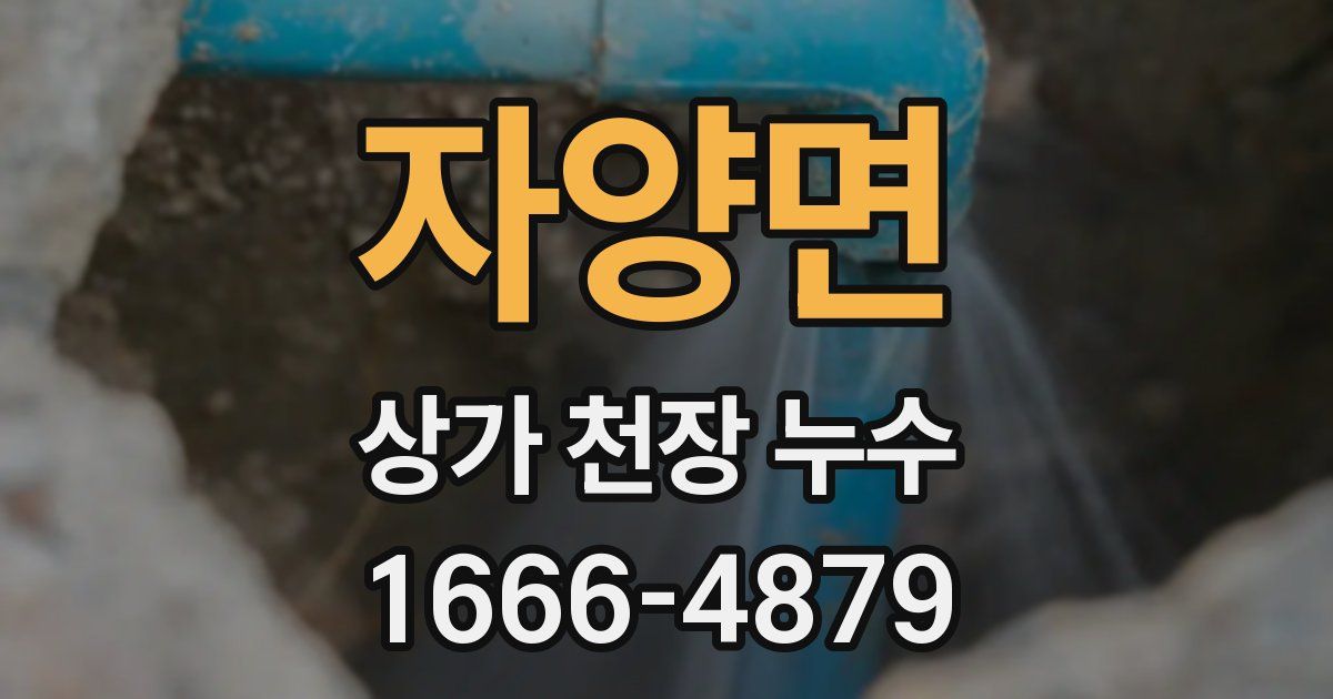 자양면 상가 천장 누수