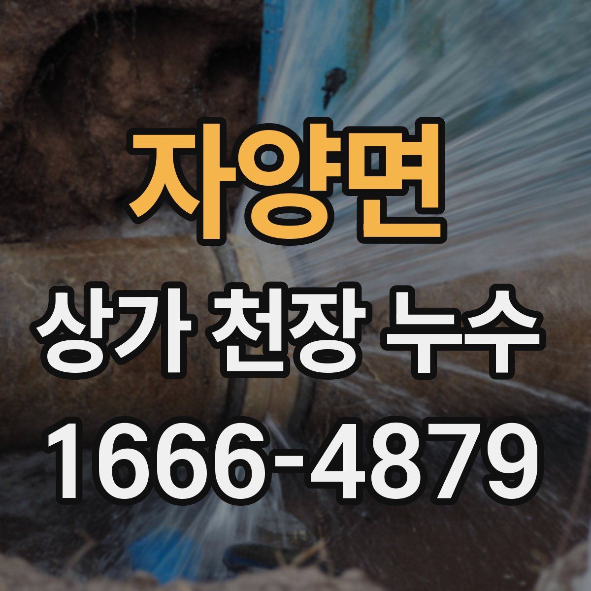 자양면 상가 천장 누수