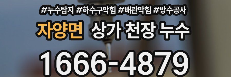 자양면 상가 천장 누수