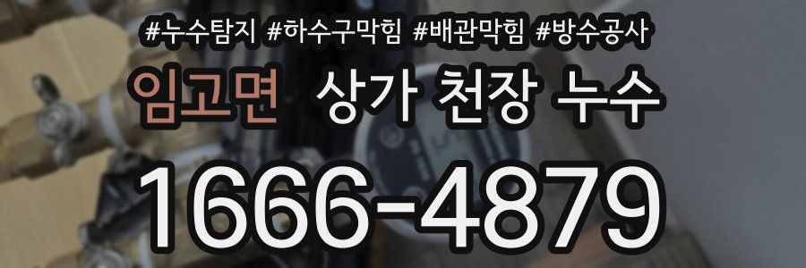 임고면 상가 천장 누수