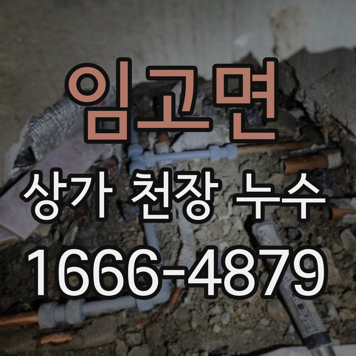 임고면 상가 천장 누수