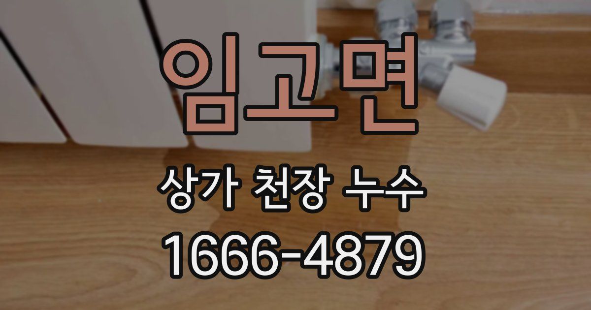 임고면 상가 천장 누수