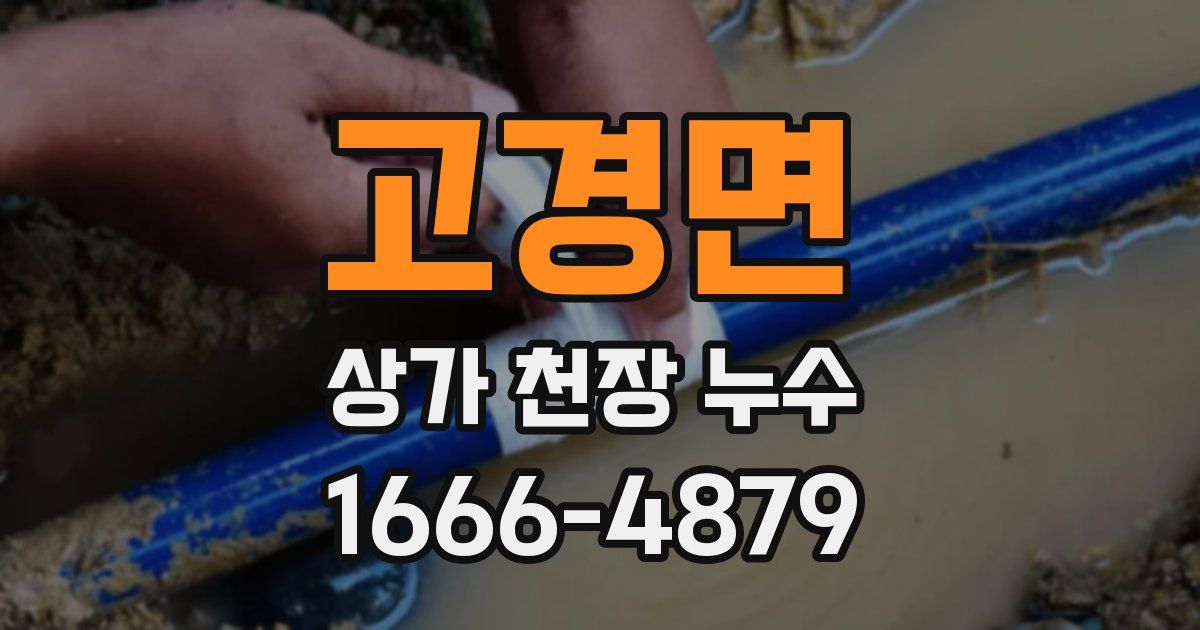 고경면 상가 천장 누수
