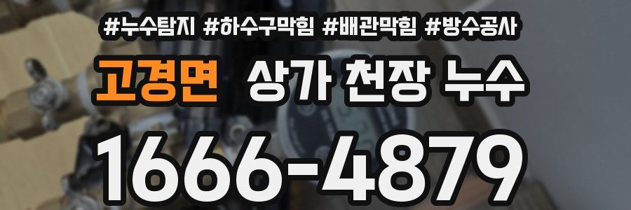 고경면 상가 천장 누수