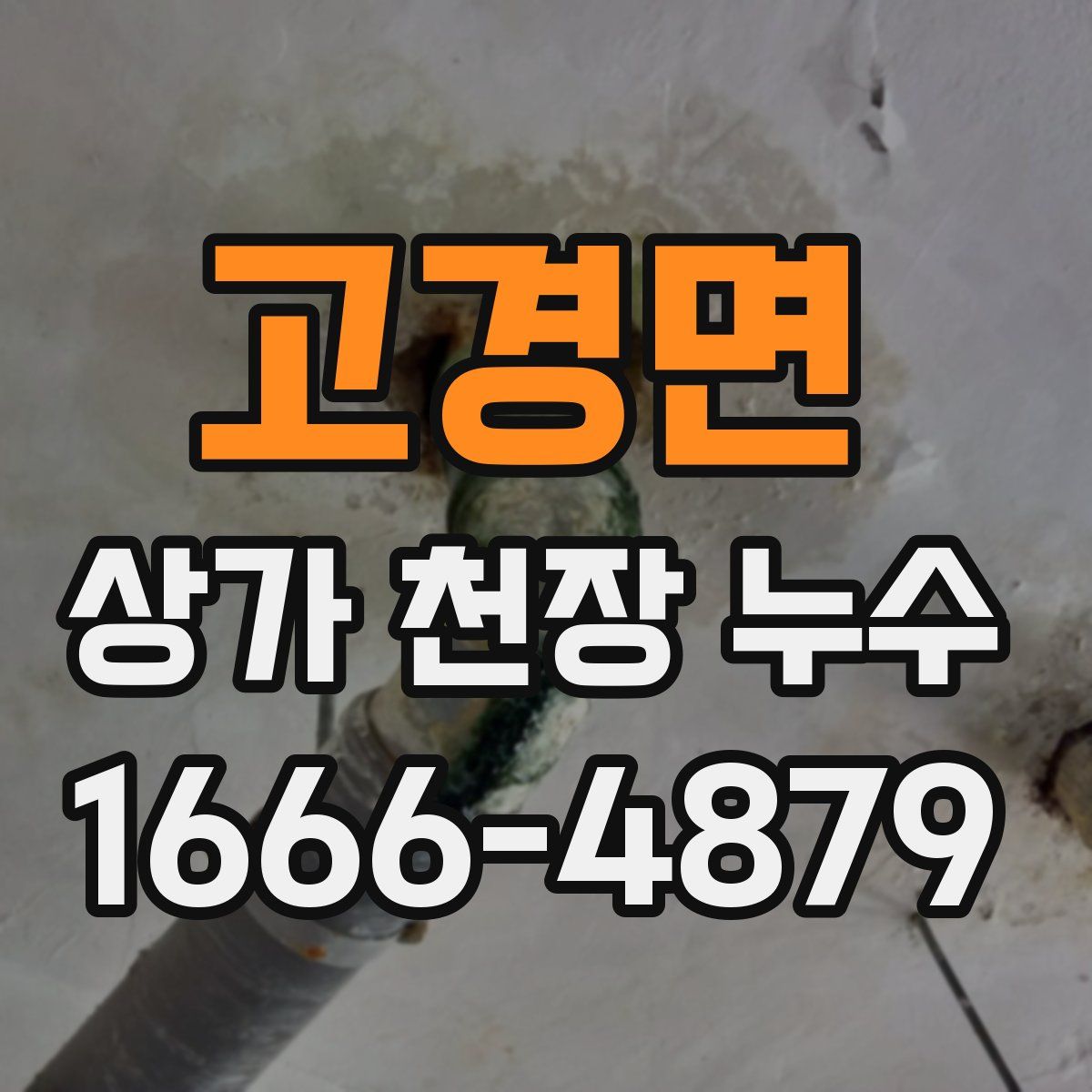 고경면 상가 천장 누수